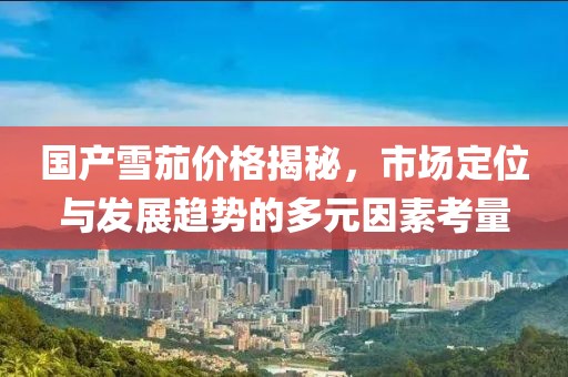 国产雪茄价格揭秘，市场定位与发展趋势的多元因素考量