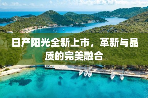 日产阳光全新上市，革新与品质的完美融合