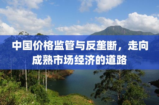 中国价格监管与反垄断，走向成熟市场经济的道路