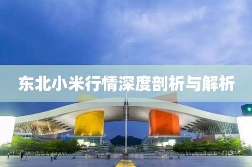 东北小米行情深度剖析与解析