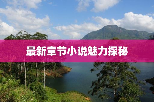 最新章节小说魅力探秘