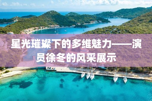 星光璀璨下的多维魅力——演员徐冬的风采展示