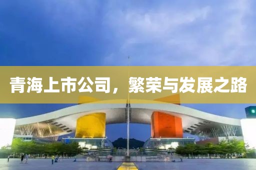 青海上市公司，繁荣与发展之路