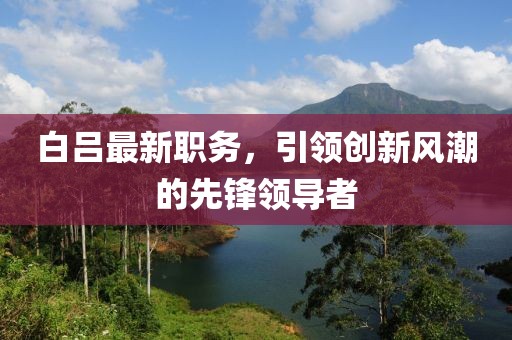 白吕最新职务，引领创新风潮的先锋领导者