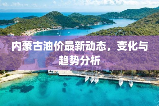 内蒙古油价最新动态，变化与趋势分析