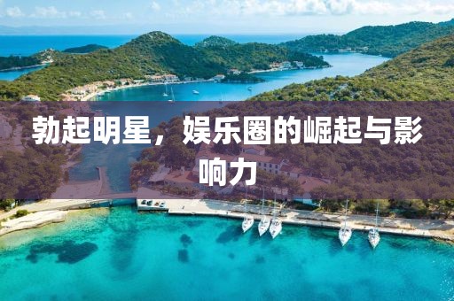 勃起明星，娱乐圈的崛起与影响力