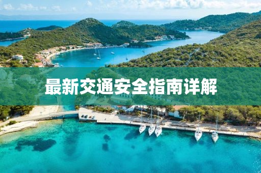 最新交通安全指南详解