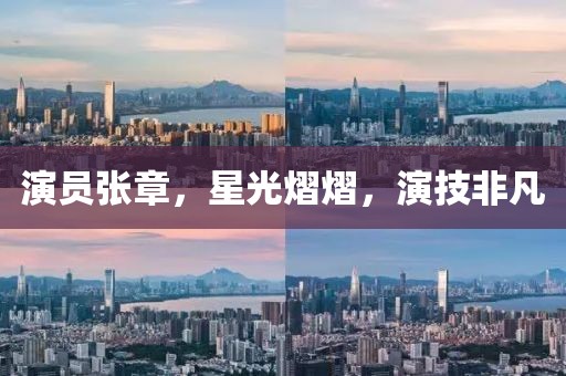 演员张章，星光熠熠，演技非凡