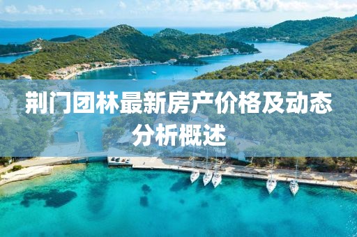 荆门团林最新房产价格及动态分析概述