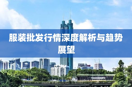 服装批发行情深度解析与趋势展望