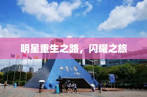明星重生之路，闪耀之旅