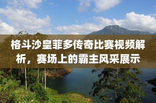 格斗沙皇菲多传奇比赛视频解析，赛场上的霸主风采展示