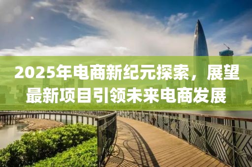 2025年电商新纪元探索，展望最新项目引领未来电商发展