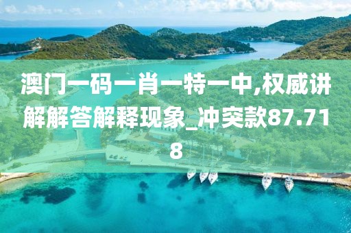 澳门一码一肖一特一中,权威讲解解答解释现象_冲突款87.718