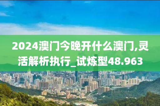 2024澳门今晚开什么澳门,灵活解析执行_试炼型48.963