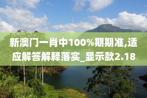 新澳门一肖中100%期期准,适应解答解释落实_显示款2.18