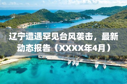 辽宁遭遇罕见台风袭击，最新动态报告（XXXX年4月）