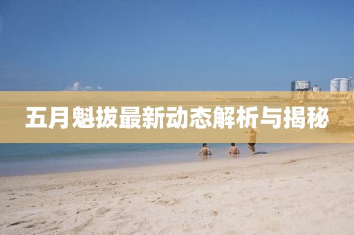 五月魁拔最新动态解析与揭秘