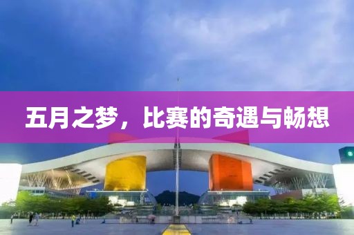五月之梦，比赛的奇遇与畅想