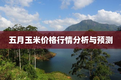 五月玉米价格行情分析与预测