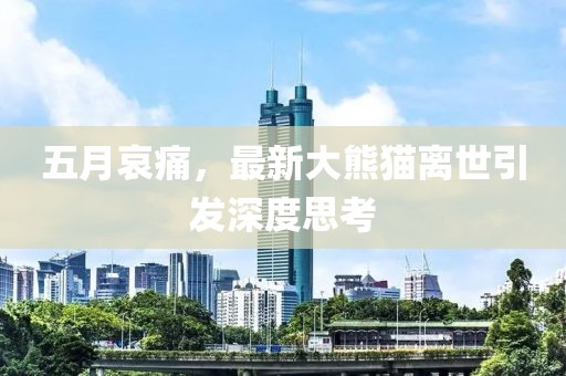 五月哀痛，最新大熊猫离世引发深度思考