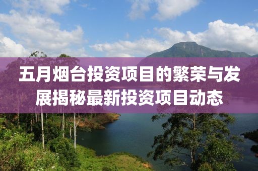 五月烟台投资项目的繁荣与发展揭秘最新投资项目动态