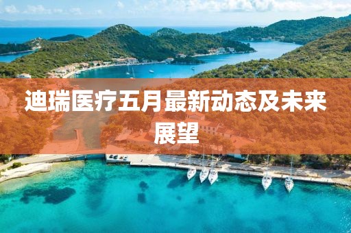迪瑞医疗五月最新动态及未来展望