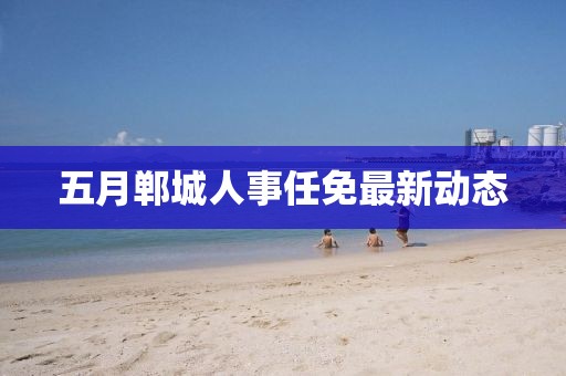 五月郸城人事任免最新动态