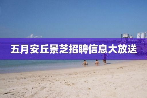 五月安丘景芝招聘信息大放送