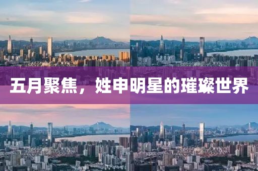 五月聚焦，姓申明星的璀璨世界