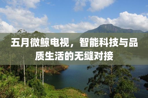 五月微鲸电视，智能科技与品质生活的无缝对接