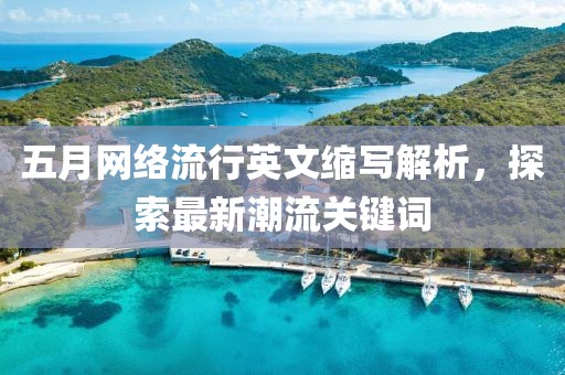 五月网络流行英文缩写解析，探索最新潮流关键词