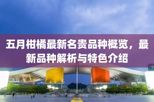 五月柑橘最新名贵品种概览，最新品种解析与特色介绍