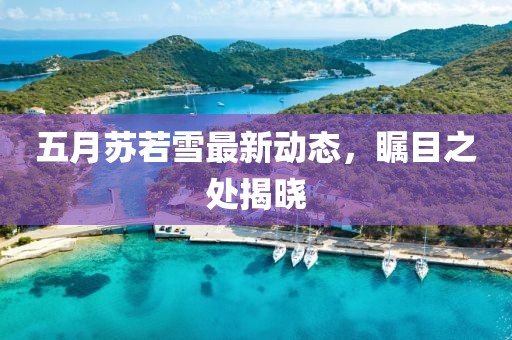 五月苏若雪最新动态，瞩目之处揭晓