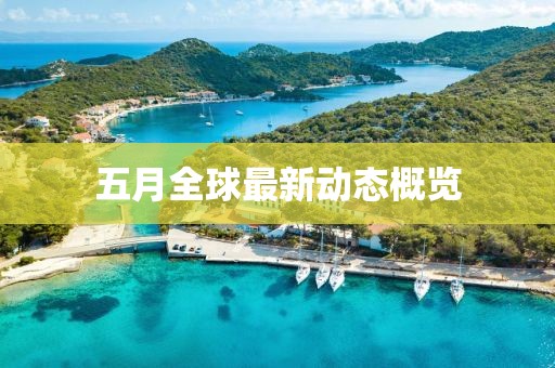 五月全球最新动态概览