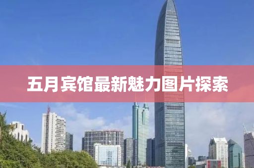 五月宾馆最新魅力图片探索
