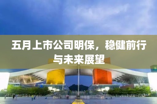 五月上市公司明保，稳健前行与未来展望