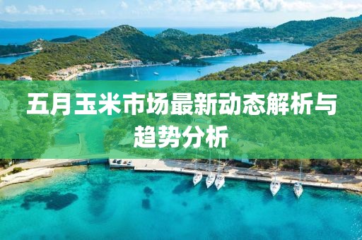 五月玉米市场最新动态解析与趋势分析