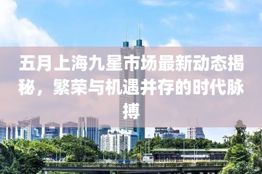 五月上海九星市场最新动态揭秘，繁荣与机遇并存的时代脉搏