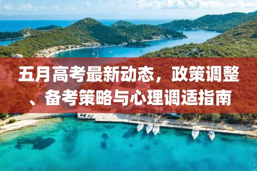 五月高考最新动态，政策调整、备考策略与心理调适指南