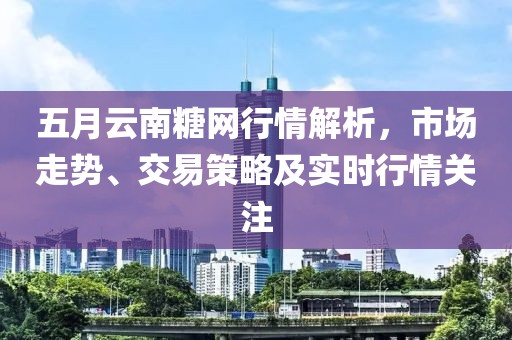 五月云南糖网行情解析，市场走势、交易策略及实时行情关注