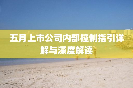 五月上市公司内部控制指引详解与深度解读