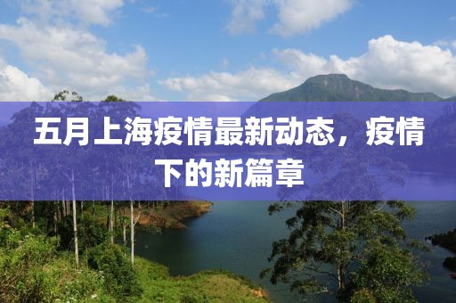 五月上海疫情最新动态，疫情下的新篇章