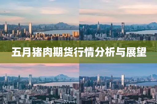 五月猪肉期货行情分析与展望