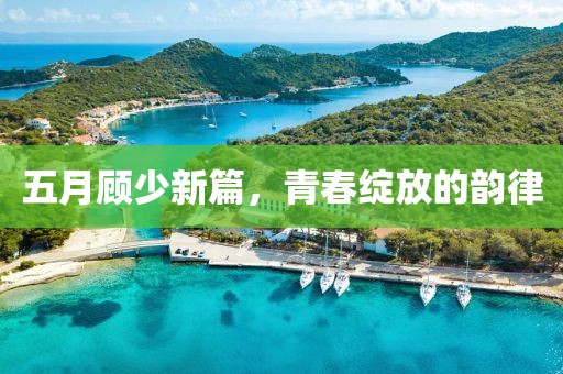 五月顾少新篇，青春绽放的韵律