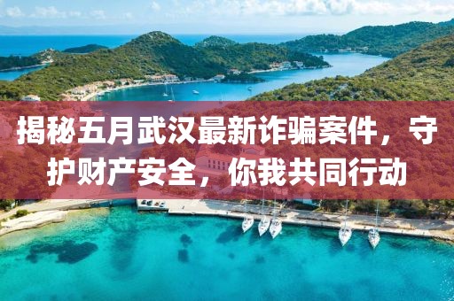 揭秘五月武汉最新诈骗案件，守护财产安全，你我共同行动