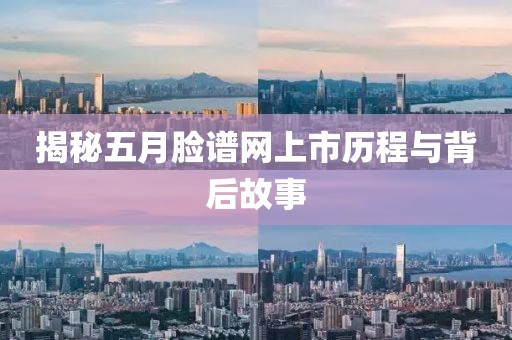 揭秘五月脸谱网上市历程与背后故事