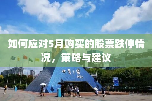 如何应对5月购买的股票跌停情况，策略与建议