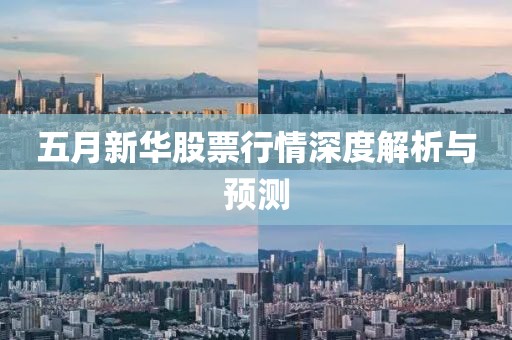 五月新华股票行情深度解析与预测
