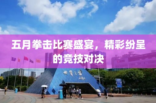 五月拳击比赛盛宴，精彩纷呈的竞技对决